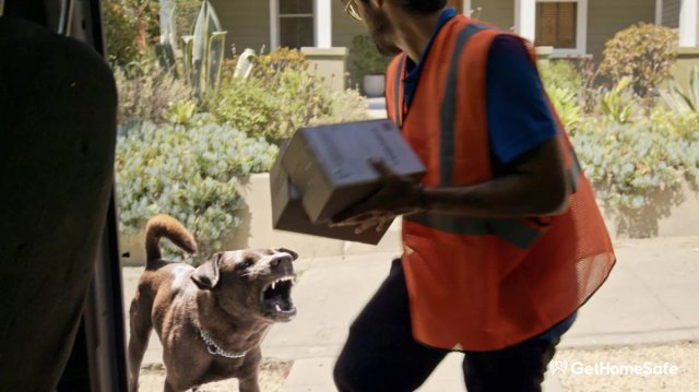Protecting your lone workers from canine encounters