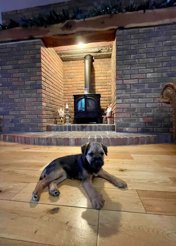 Sophie spending a chilly Christmas with family in the Welsh countryside