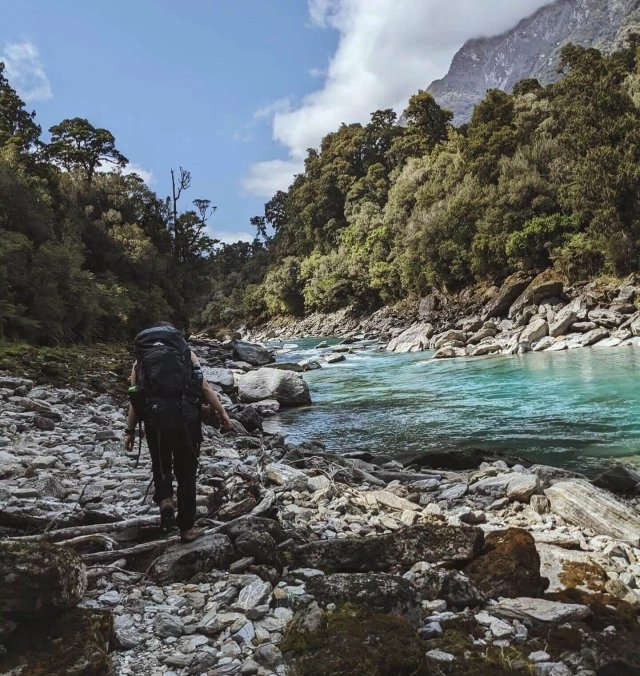 Bright blue Copland River winding through lush West Coast forest beside the track