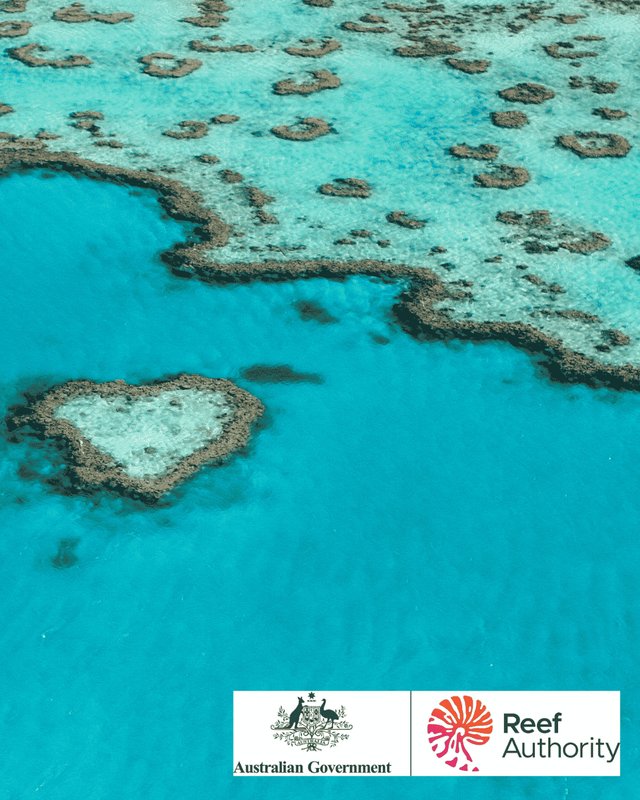 Great Barrier Photo with logo overlay for Great Barrier Marine Park Authority